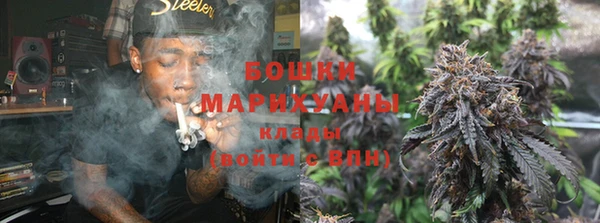 PSILOCYBIN Алексин