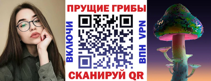 сколько стоит  Агидель  Псилоцибиновые грибы Magic Shrooms 